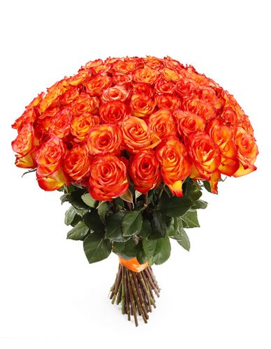 101 оранжевая роза с доставкой по Мурманску